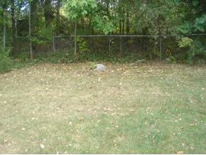 116 Longview Drive Greeneville, TN 37745 - Photo 4 of 8 Photo 4
