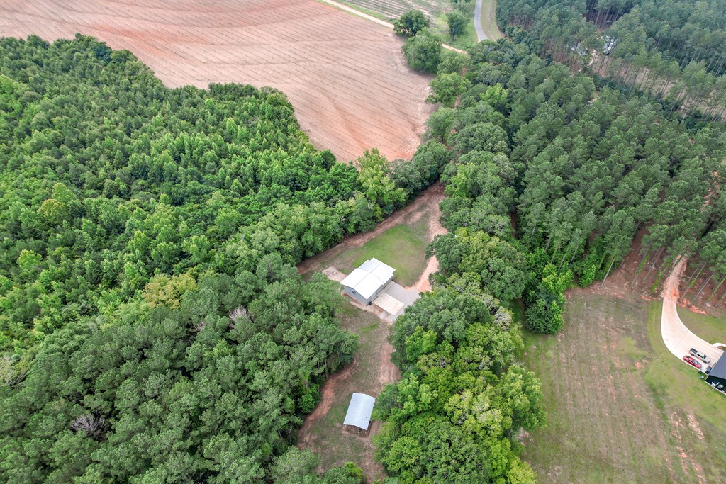 401 Macedonia Road Hartford, AL 36344 - Photo 22 of 61