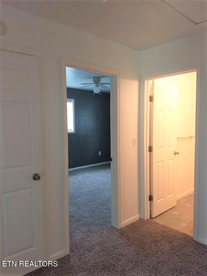 2405 Ryan Road Crossville, TN 38571 - Photo 13 of 21 IMG_20200528_112054799