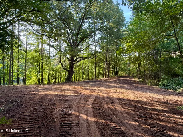 $175,000 | 0 Hwy 395 Noxapater Ms 39346, Philadelphia, MS 39350