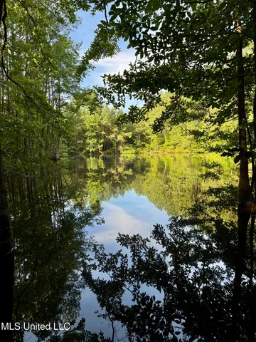 $175,000 | 0 Hwy 395 Noxapater Ms 39346, Philadelphia, MS 39350