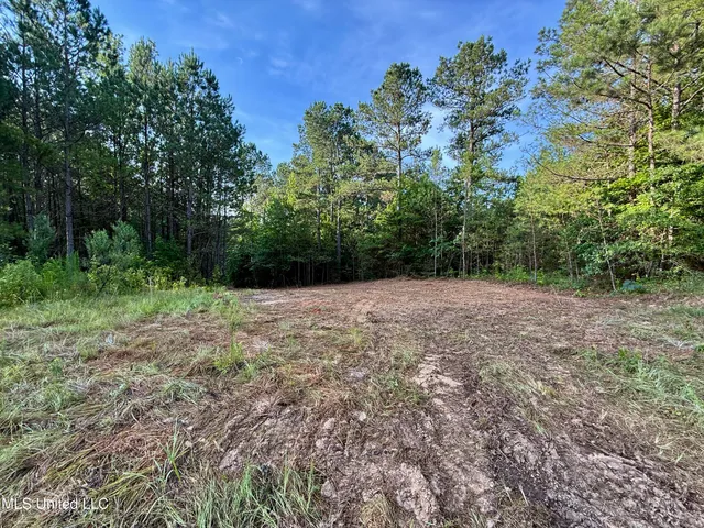 $175,000 | 0 Hwy 395 Noxapater Ms 39346, Philadelphia, MS 39350
