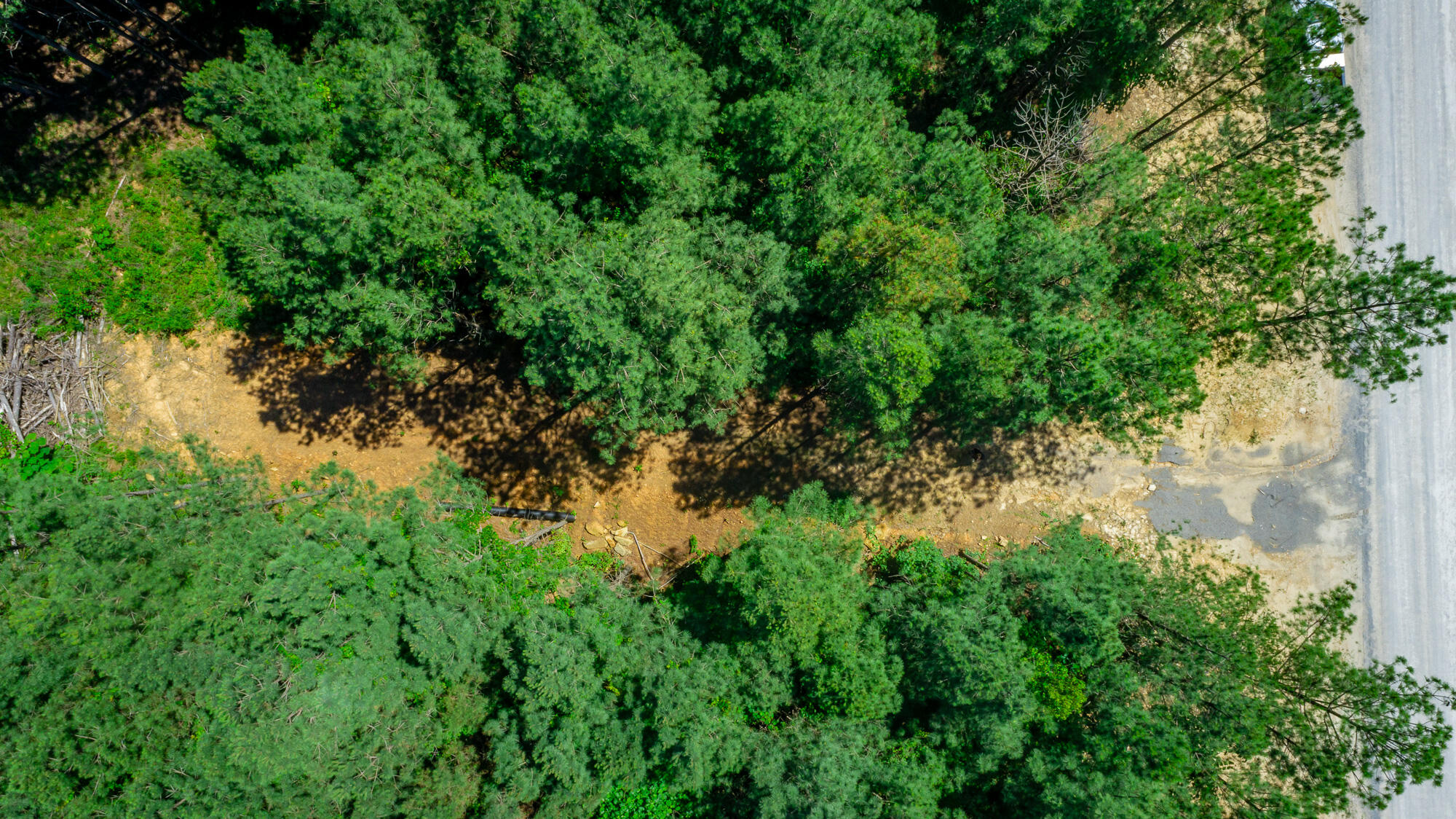 0 Split Rail Way, Unit LOT 1163 Guild, TN 37340 - Photo 76 of 118 River Gorge Lot 1163 HD-63