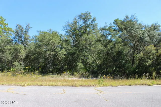 $12,000 | 0 Byrd Boulevard, Unit U16 B813 L4, Chipley, FL 32428