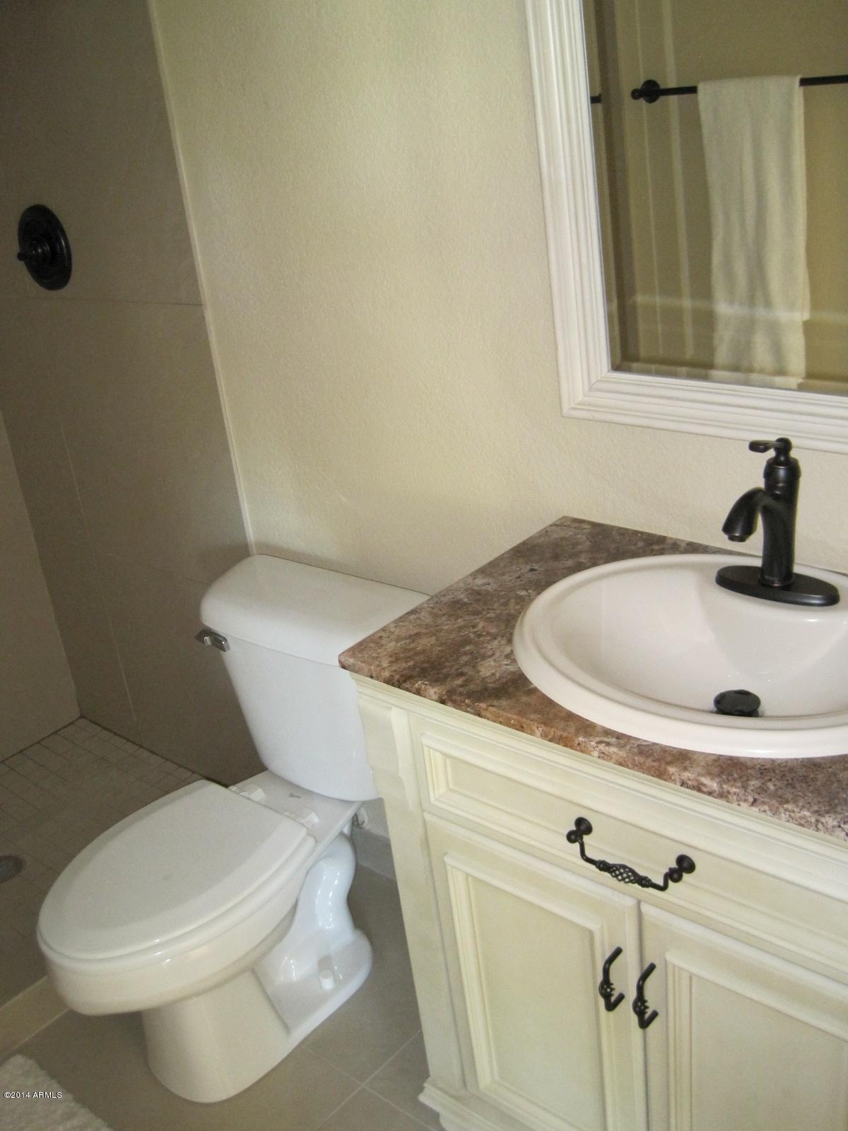 3014 East Decatur Street Mesa, AZ 85213 - Photo 12 of 30 master bath