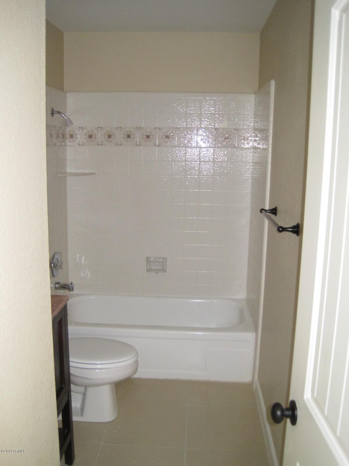 3014 East Decatur Street Mesa, AZ 85213 - Photo 26 of 30 hall bath