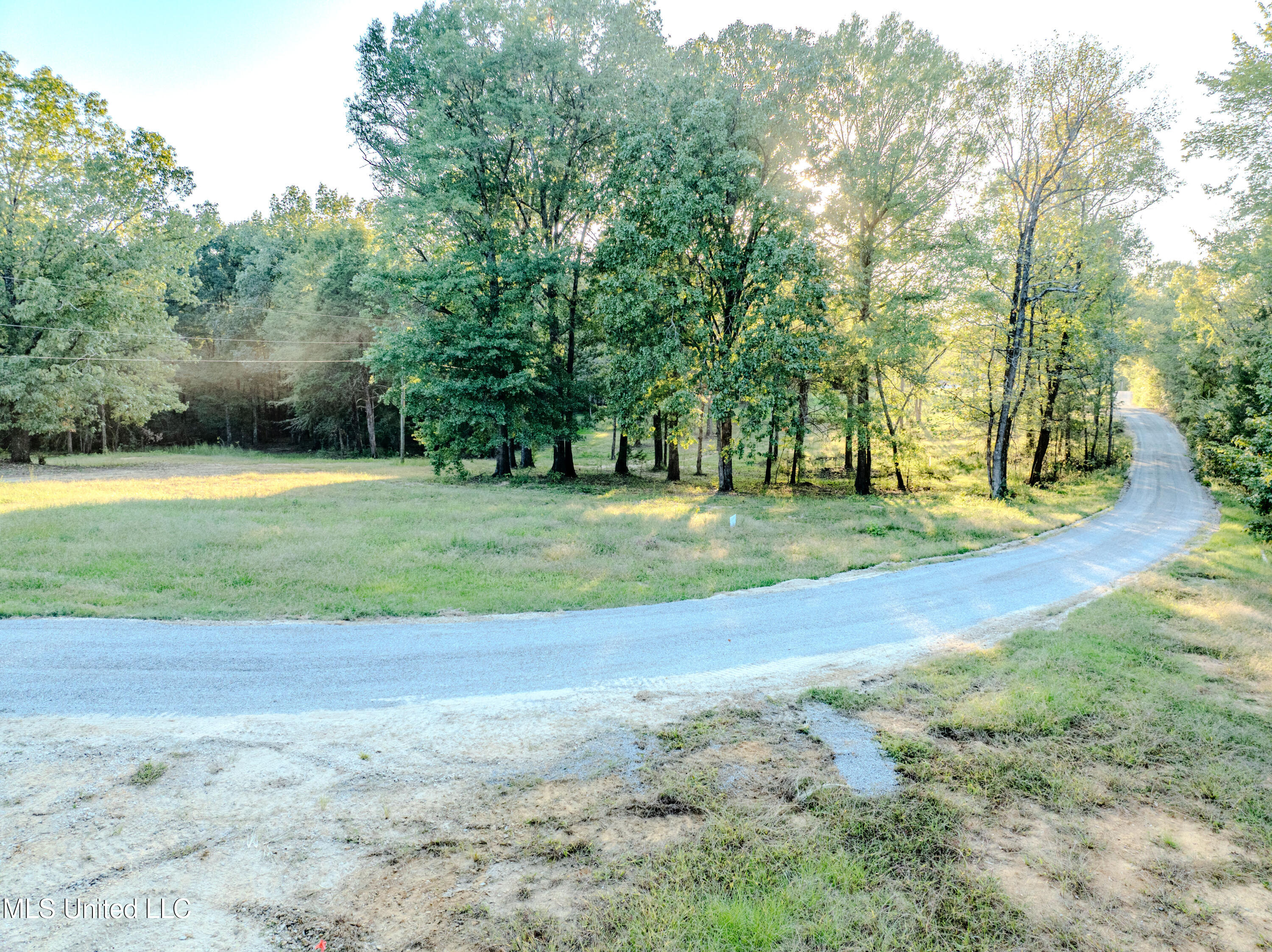 Lot 4 Myers Road Byhalia, MS 38611 - Photo 2 of 7 myers-12
