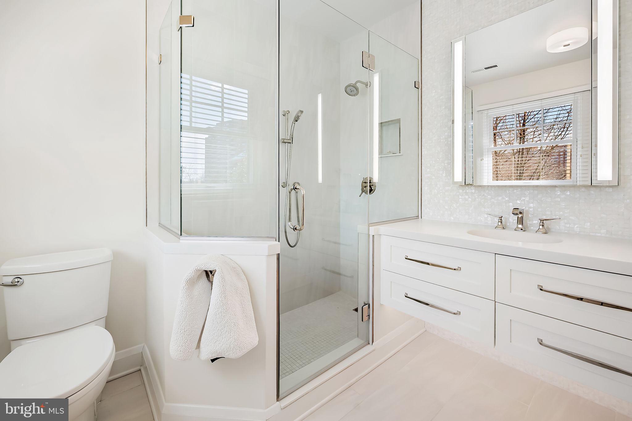 3923 Canterbury Road Baltimore, MD 21218 - Photo 23 of 42 a bathroom with a sink a toilet and shower