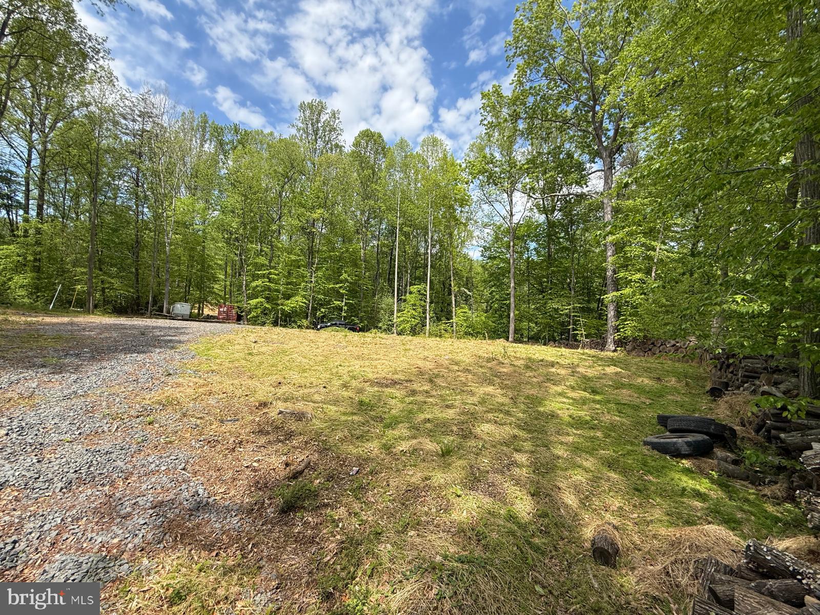 11837 Lester Road Manassas, VA 20112 - Photo 11 of 12 a view of outdoor space with trees