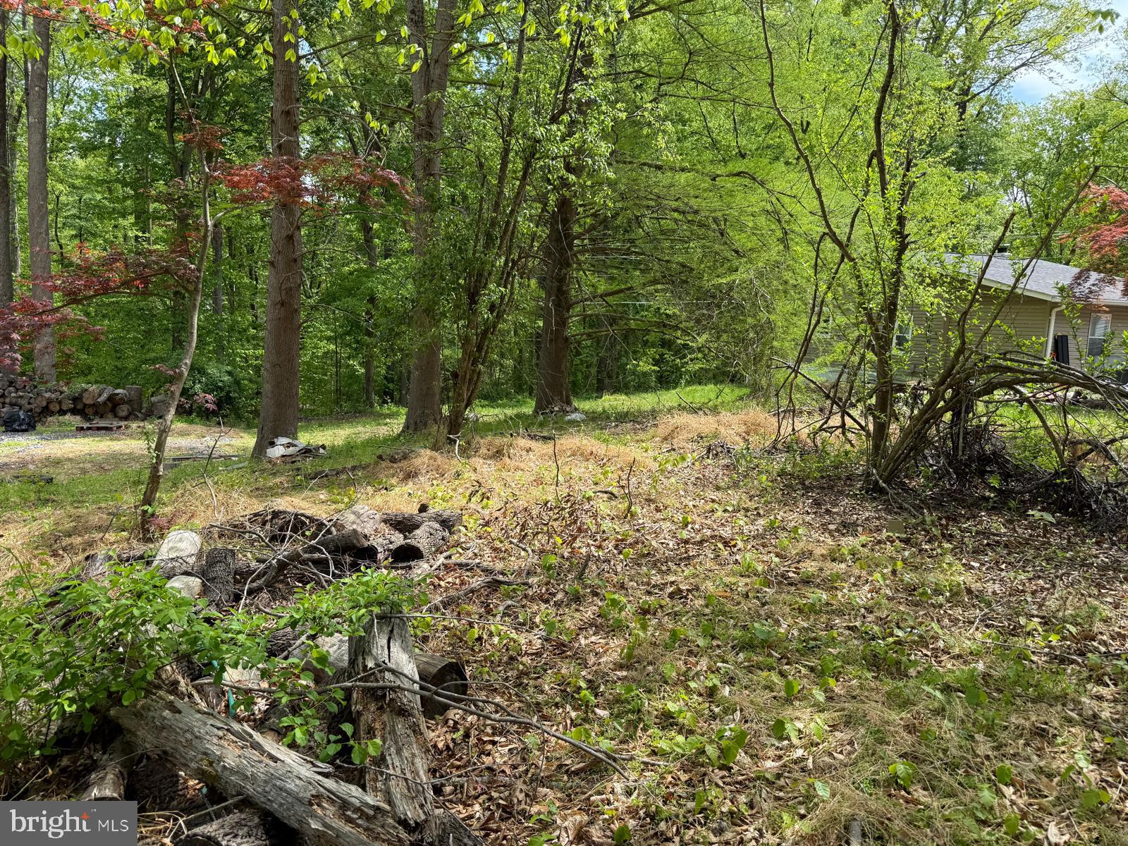 11837 Lester Road Manassas, VA 20112 - Photo 2 of 12 a view of a yard with plants and trees
