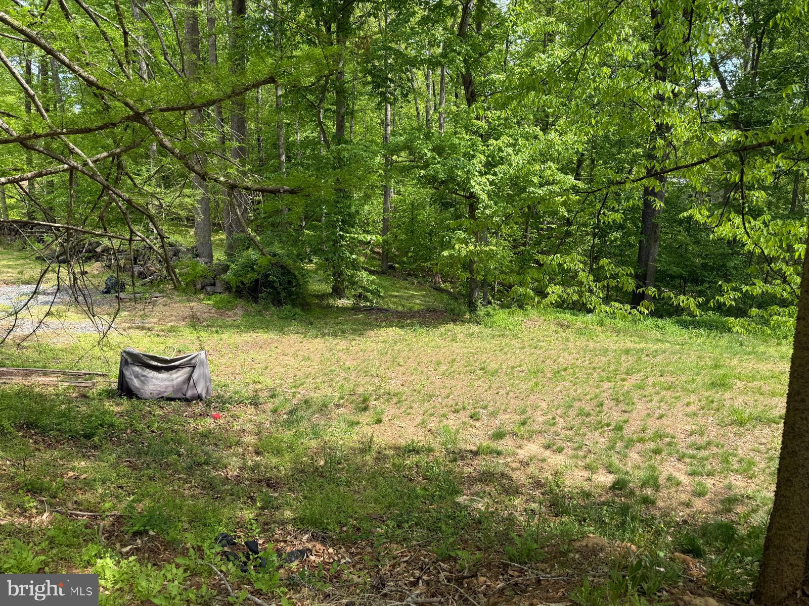 11837 Lester Road Manassas, VA 20112 - Photo 3 of 12 a view of a backyard of the house
