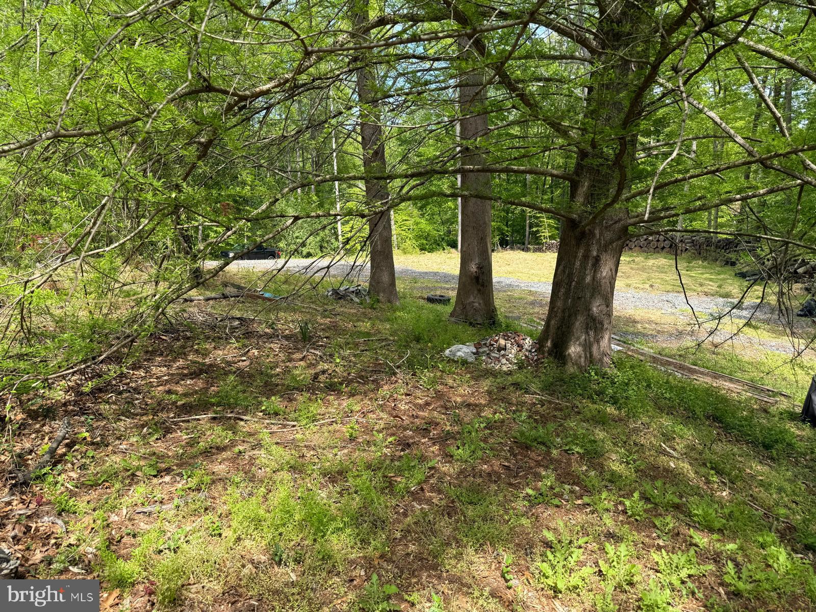 11837 Lester Road Manassas, VA 20112 - Photo 5 of 12 a view of yard