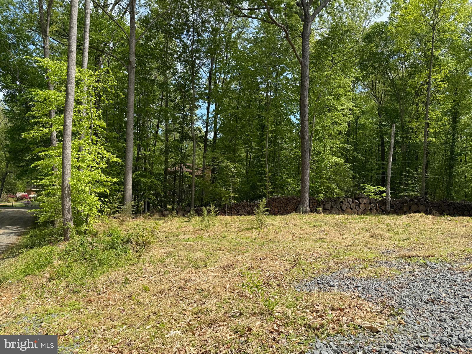 11837 Lester Road Manassas, VA 20112 - Photo 6 of 12 a pathway of a yard