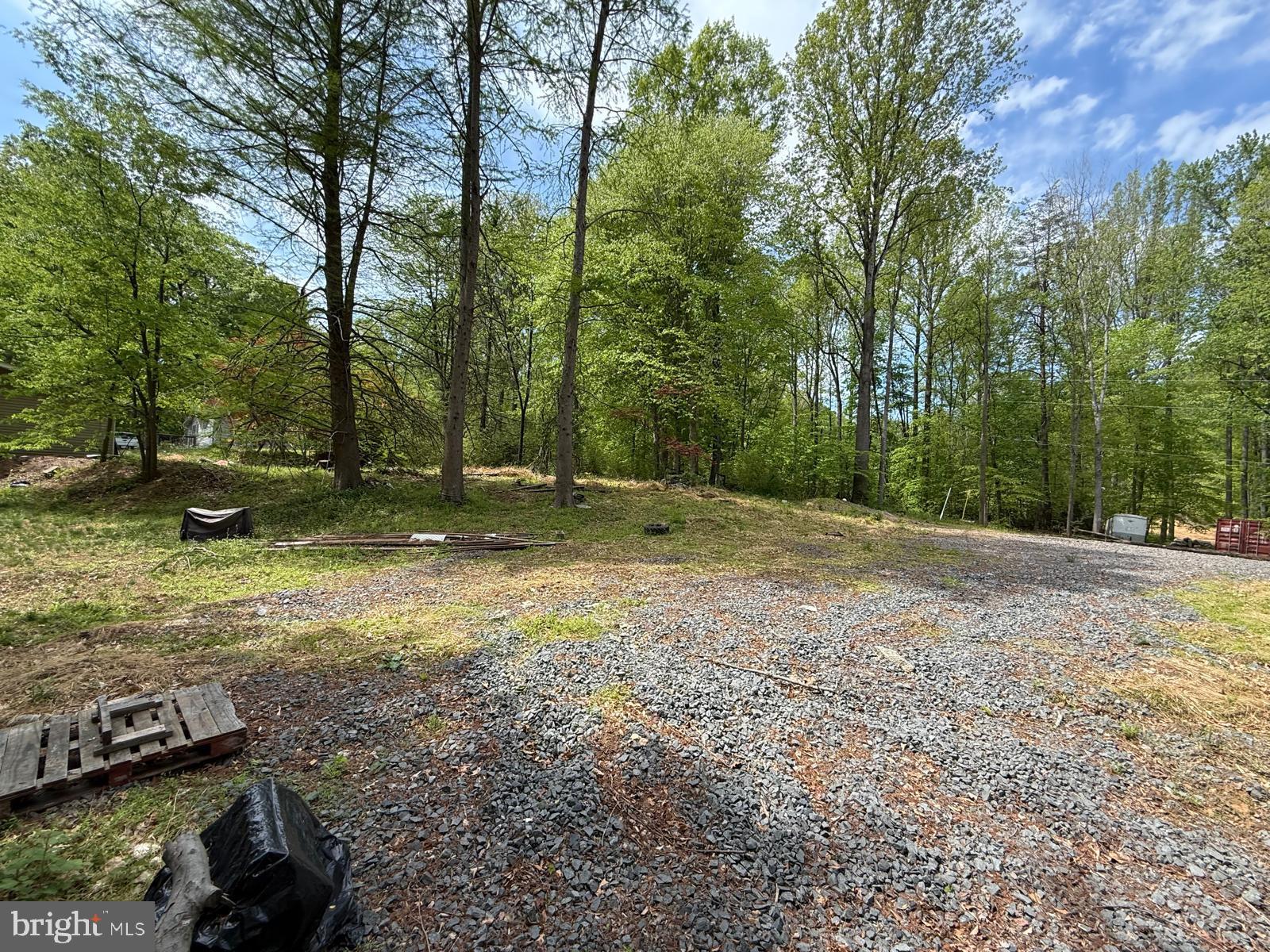 11837 Lester Road Manassas, VA 20112 - Photo 10 of 12 a view of a yard with a tree