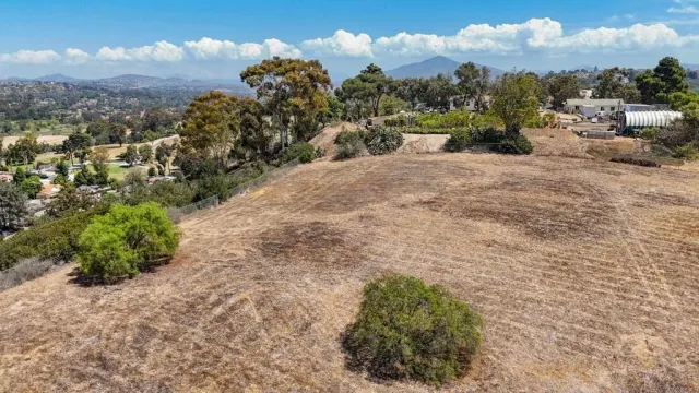 a view of a dry yard with trees