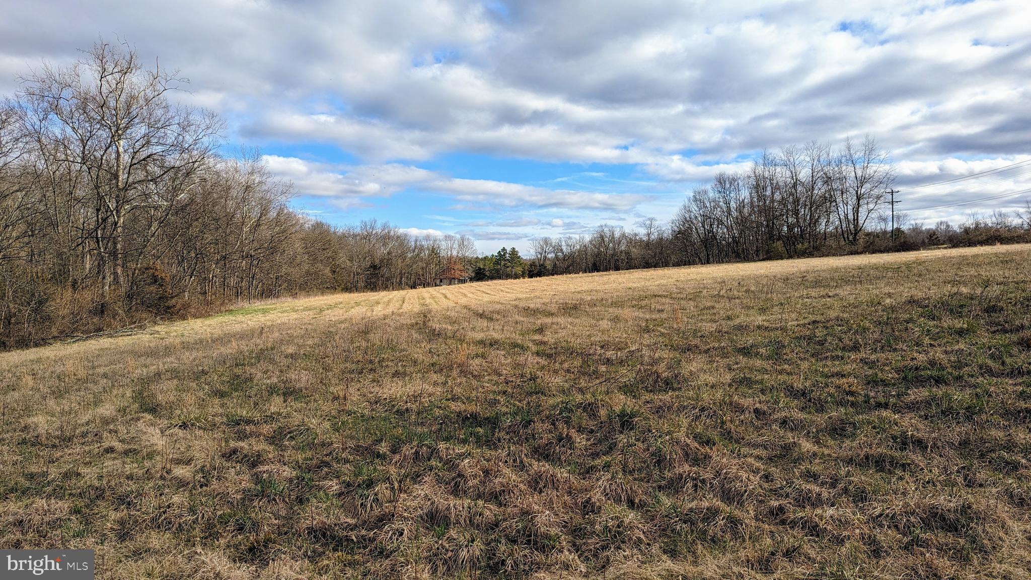 0 Somerville Road Mitchells, VA 22729 - Photo 15 of 20 Looking Southeast
