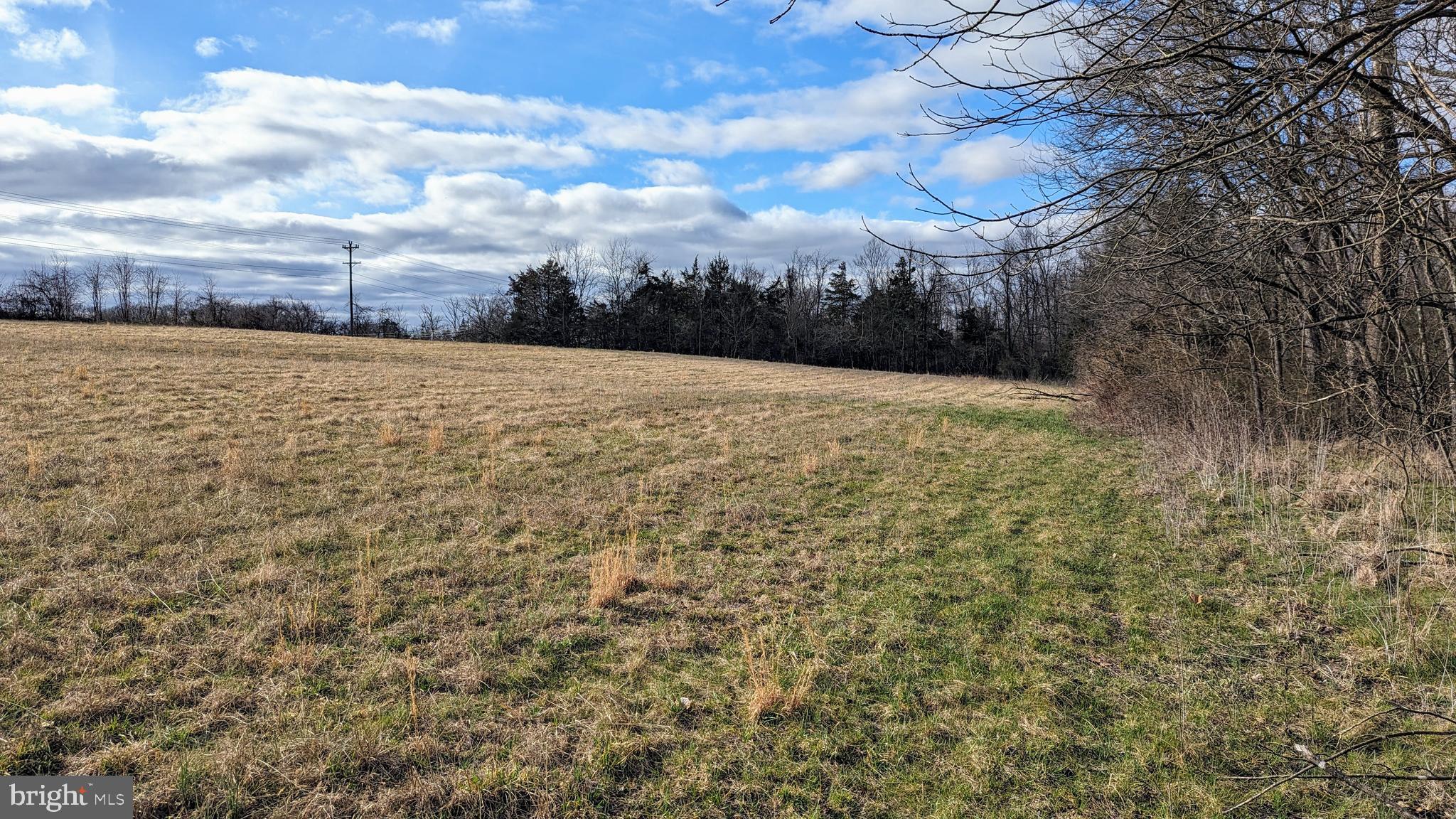 0 Somerville Road Mitchells, VA 22729 - Photo 16 of 20 Looking Northwest