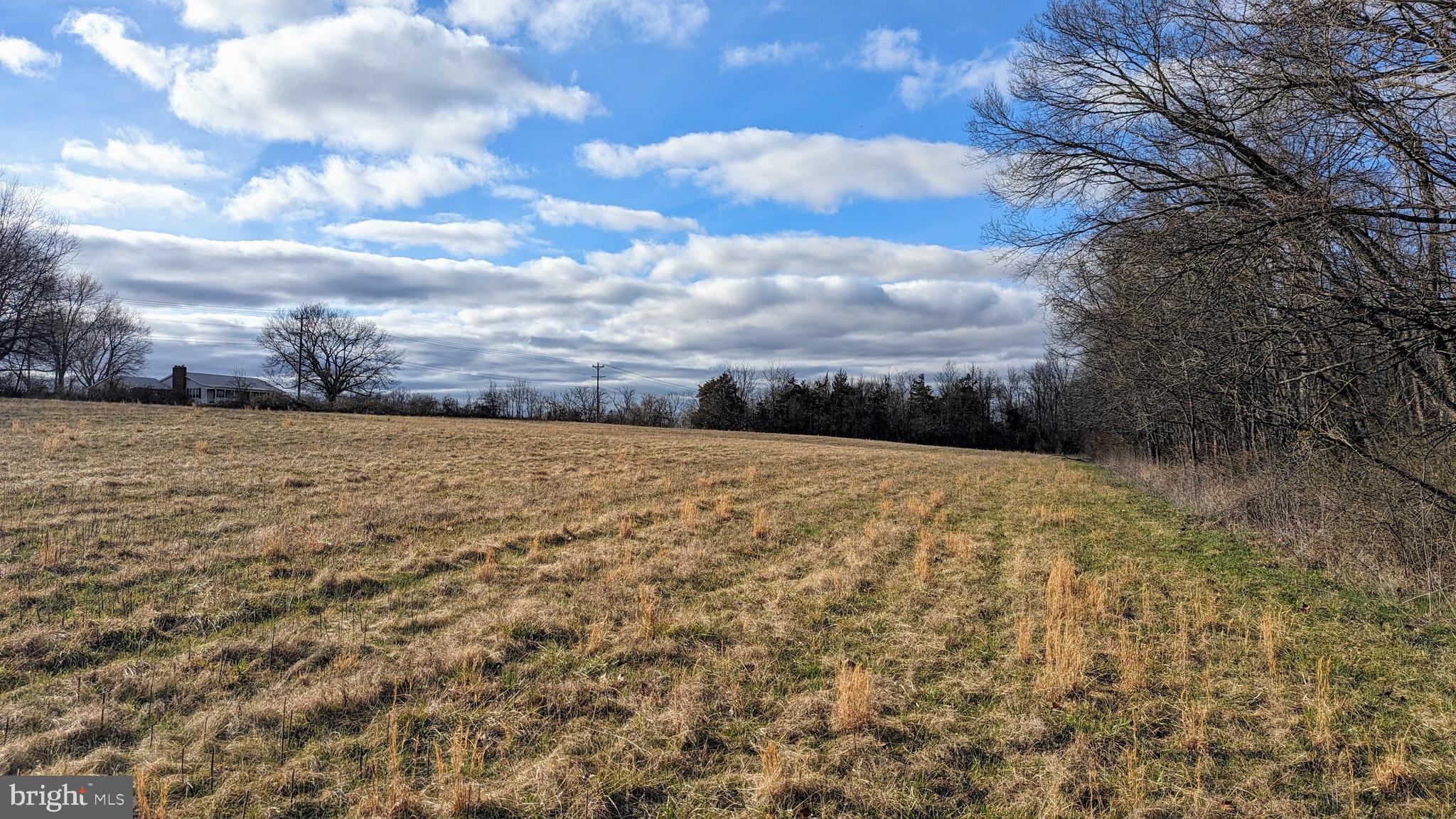 0 Somerville Road Mitchells, VA 22729 - Photo 19 of 20 Looking Northwest