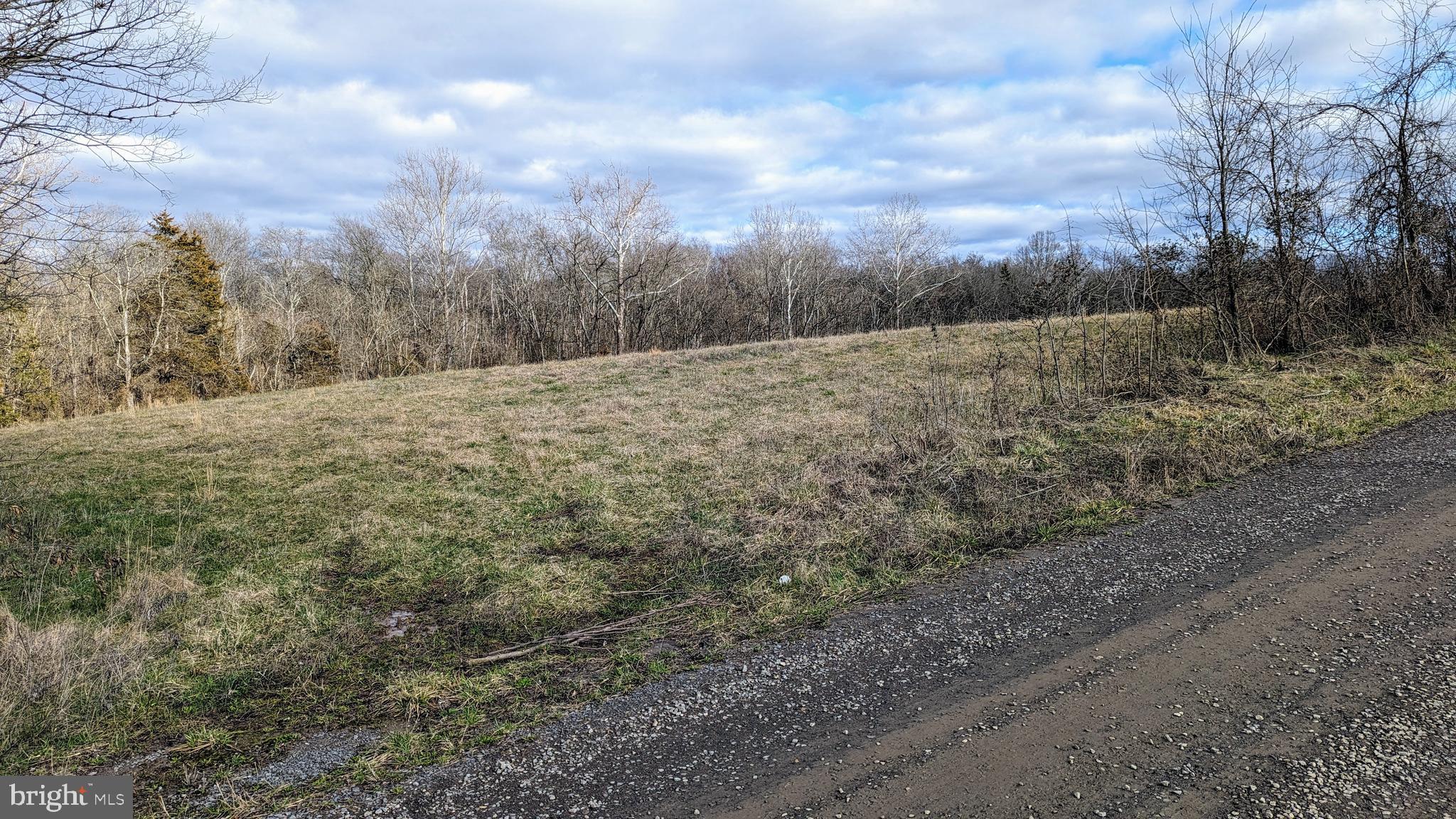 0 Somerville Road Mitchells, VA 22729 - Photo 3 of 20 West entrance to proposed homesite