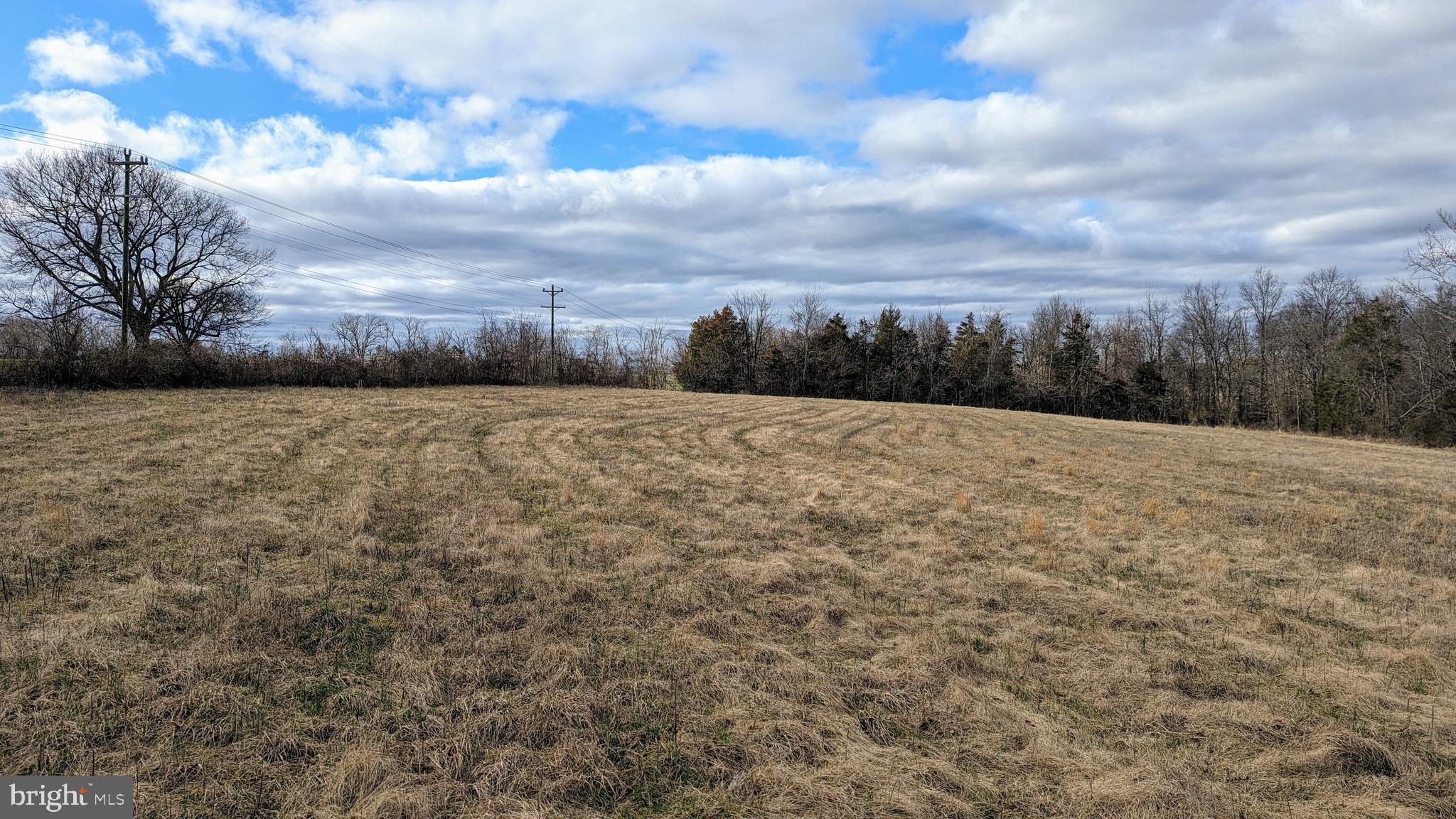 0 Somerville Road Mitchells, VA 22729 - Photo 4 of 20 Elevated proposed homesite