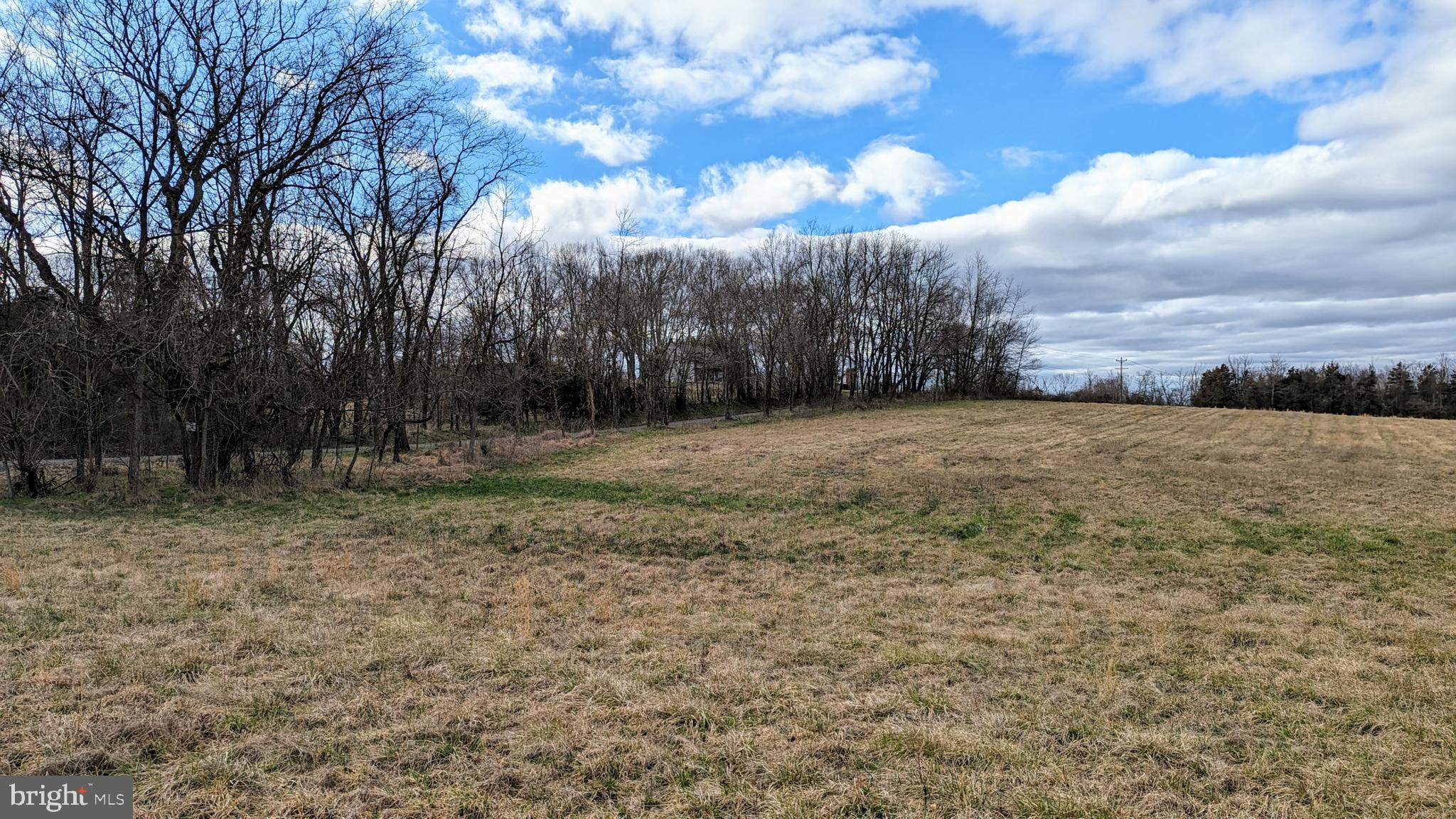 0 Somerville Road Mitchells, VA 22729 - Photo 5 of 20 Looking Northwest