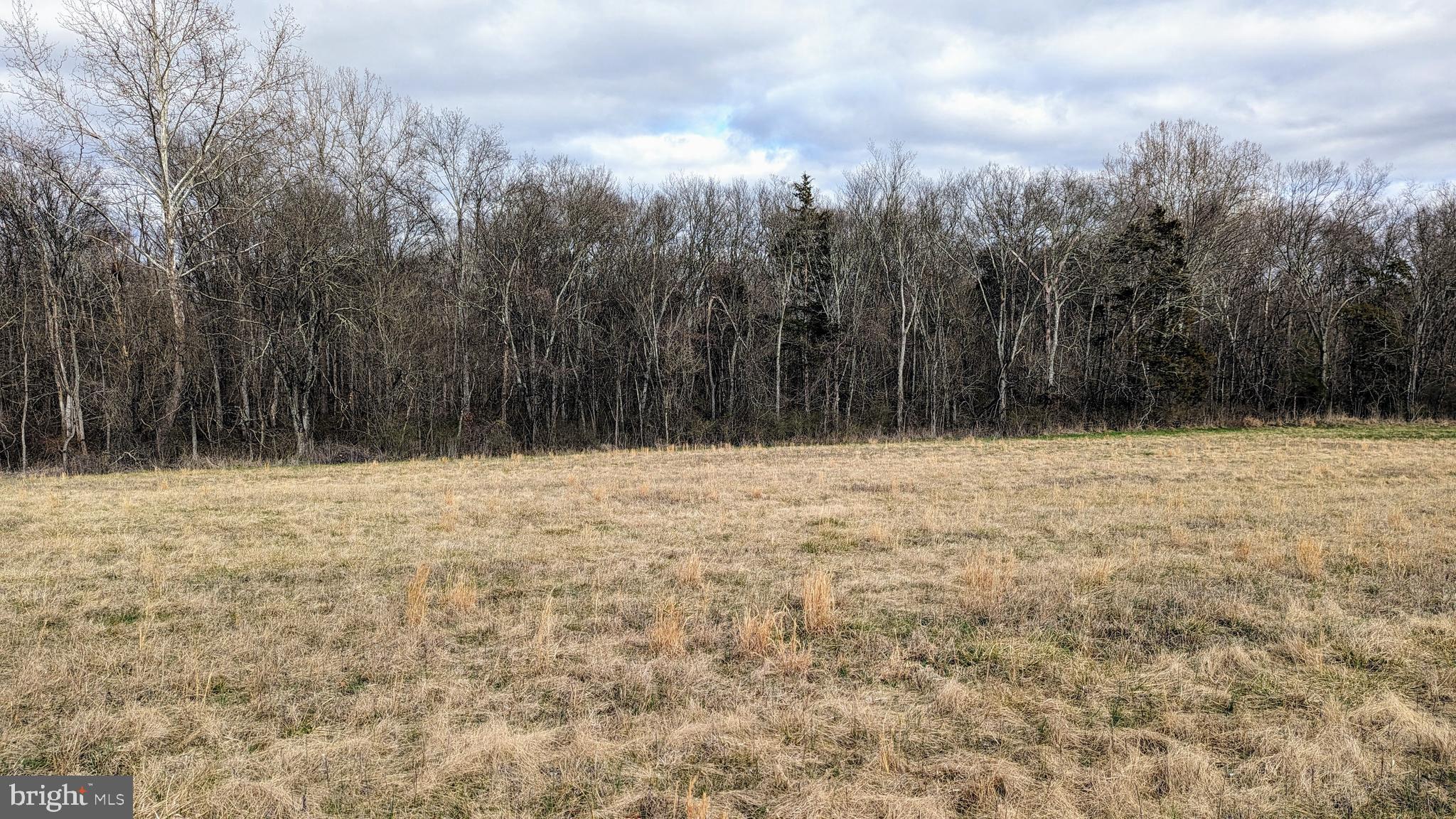 0 Somerville Road Mitchells, VA 22729 - Photo 7 of 20 Looking Northeast to creek