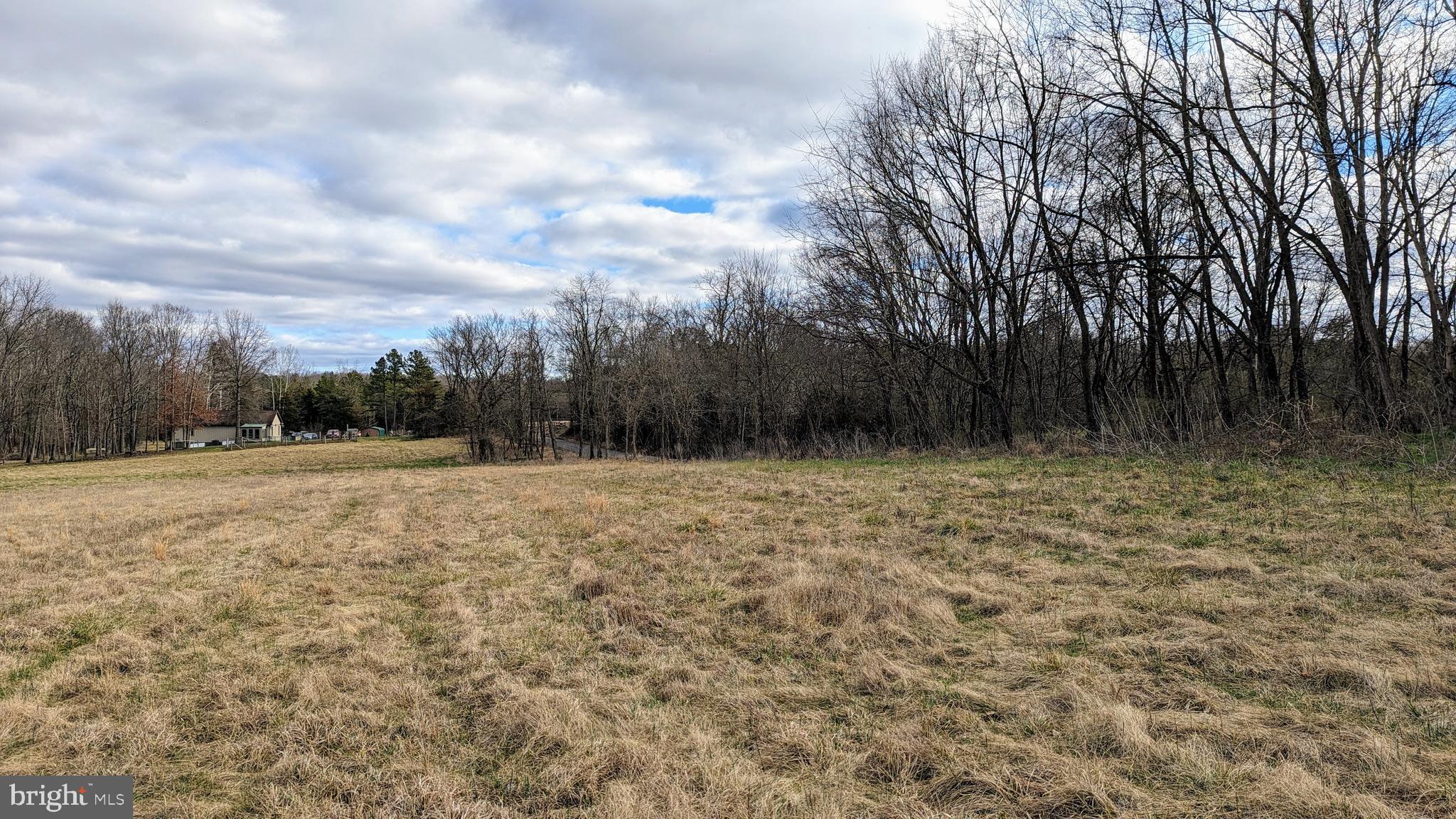 0 Somerville Road Mitchells, VA 22729 - Photo 8 of 20 Looking Southeast