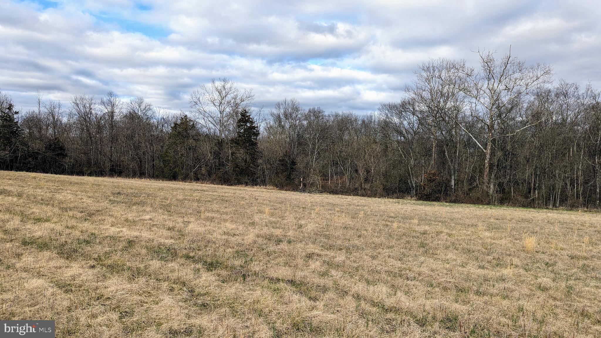 0 Somerville Road Mitchells, VA 22729 - Photo 9 of 20 Looking North