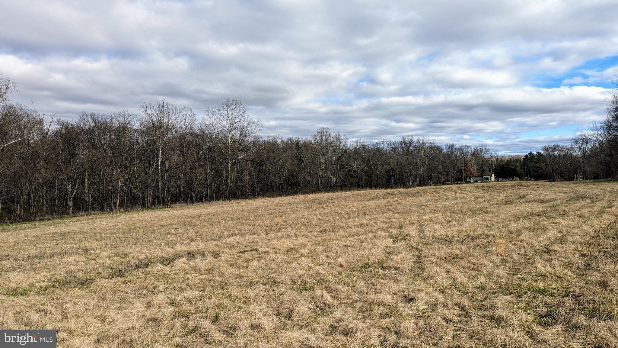 0 Somerville Road Mitchells, VA 22729 - Photo 10 of 20 Looking Southeast