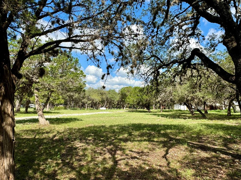 a view of a golf course with trees