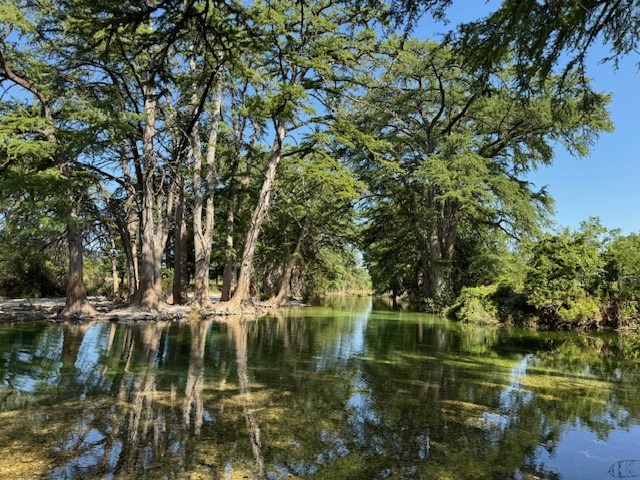 101 Patterson Drive Leakey, TX 78873 - Photo 14 of 18