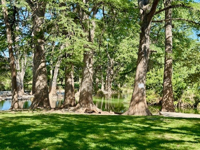 101 Patterson Drive Leakey, TX 78873 - Photo 15 of 18 a backyard of a house with lots of green space