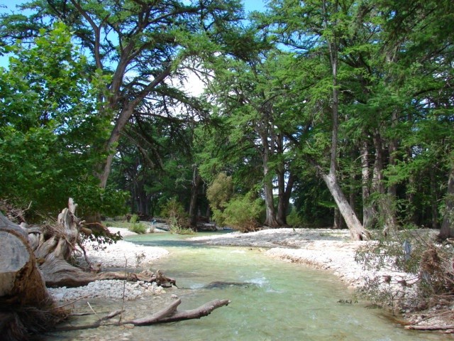 101 Patterson Drive Leakey, TX 78873 - Photo 17 of 18 a view of a backyard with large trees