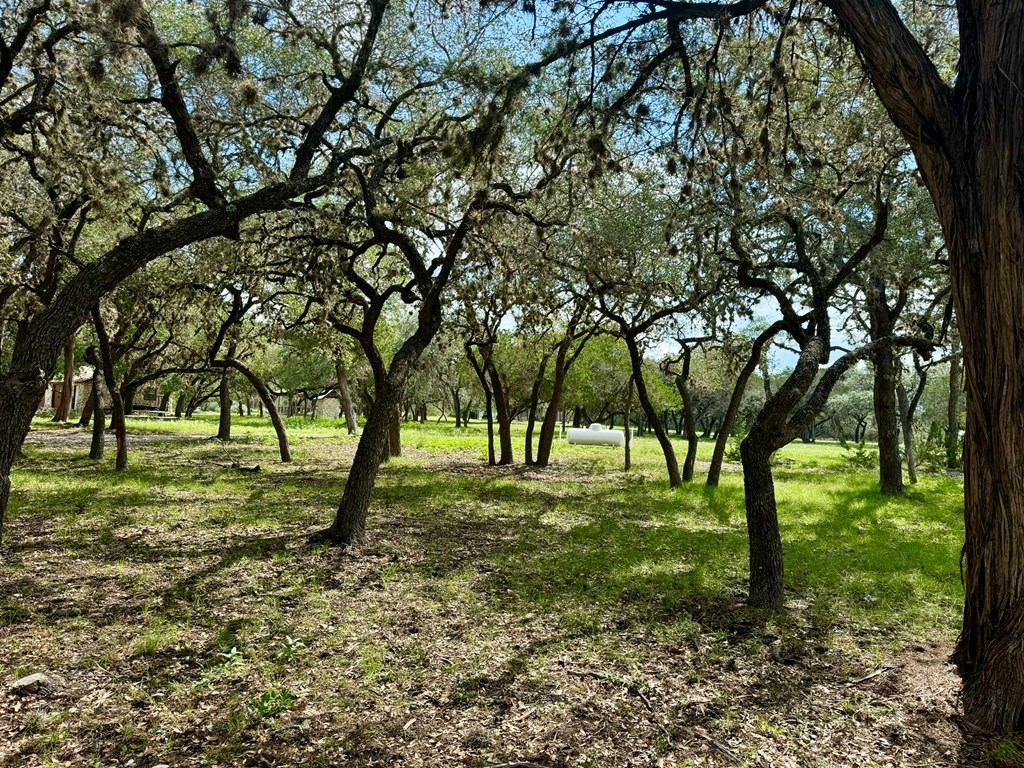 101 Patterson Drive Leakey, TX 78873 - Photo 3 of 18 a big yard with lots of green space and trees