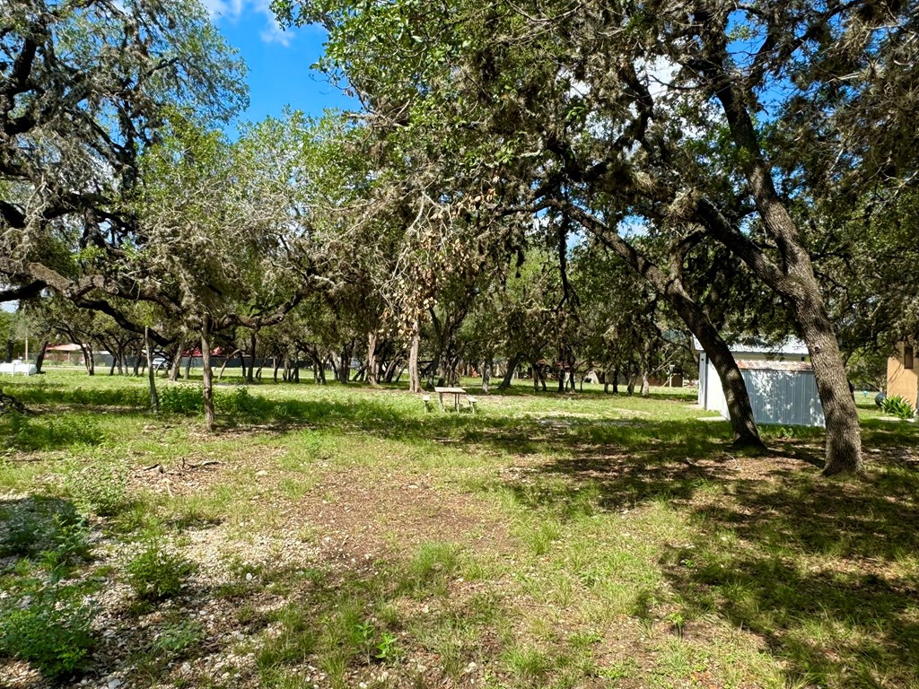 101 Patterson Drive Leakey, TX 78873 - Photo 5 of 18 a view of a park