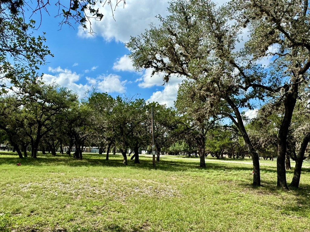 101 Patterson Drive Leakey, TX 78873 - Photo 7 of 18 a big yard with trees