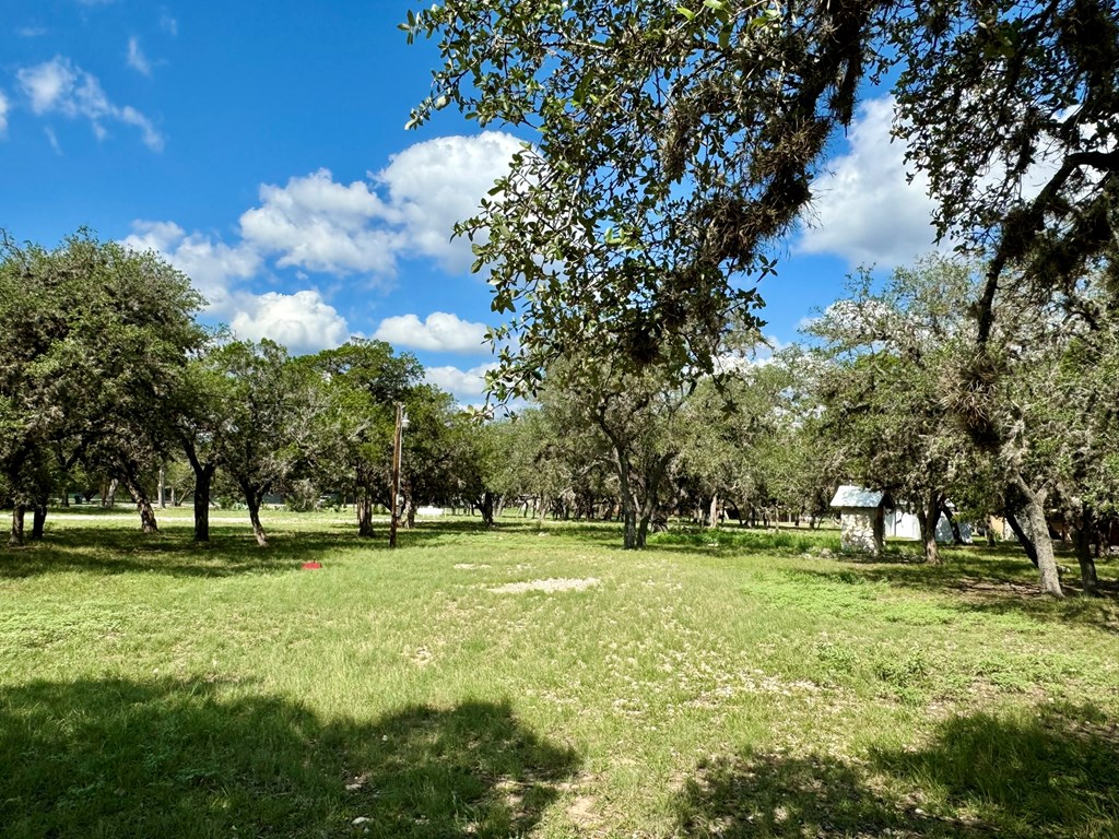 101 Patterson Drive Leakey, TX 78873 - Photo 9 of 18 a view of green field with trees in the background