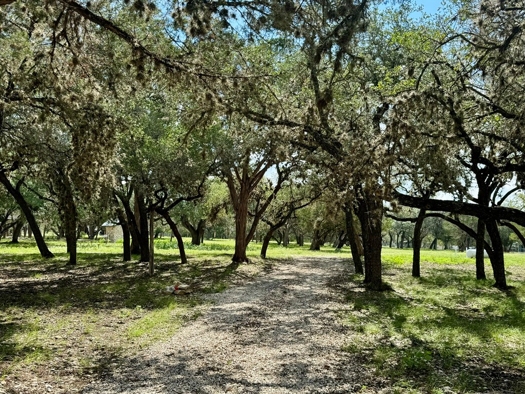 101 Patterson Drive Leakey, TX 78873 - Photo 10 of 18 a view of yard with trees