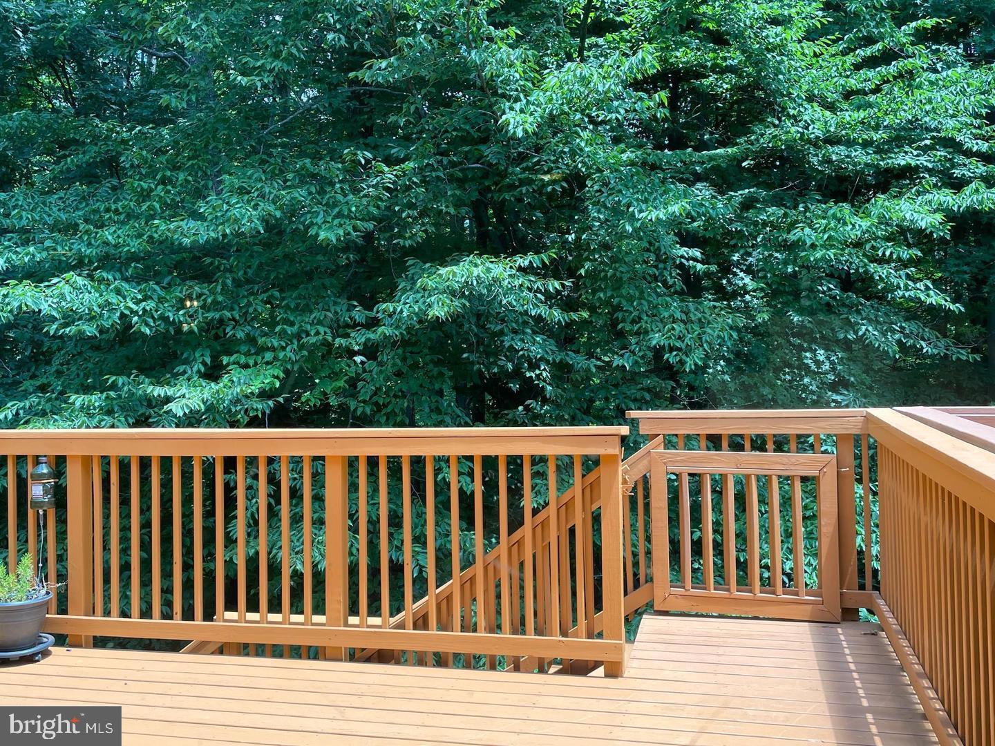 6223 Rathlin Drive Springfield, VA 22152 - Photo 12 of 32 deck backs to trees