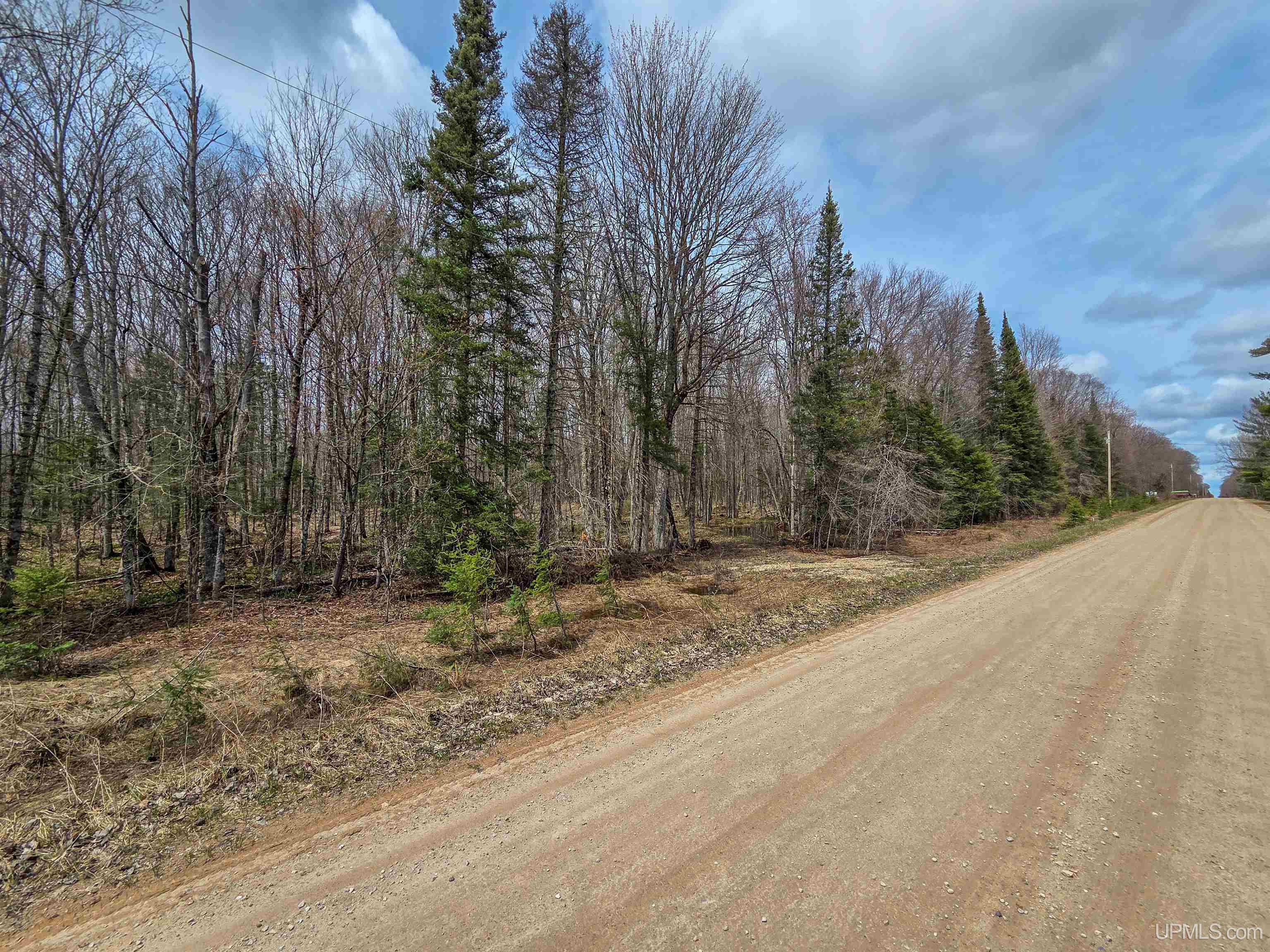 Tbd Coaster Road Trenary, MI 49891 - Photo 14 of 14
