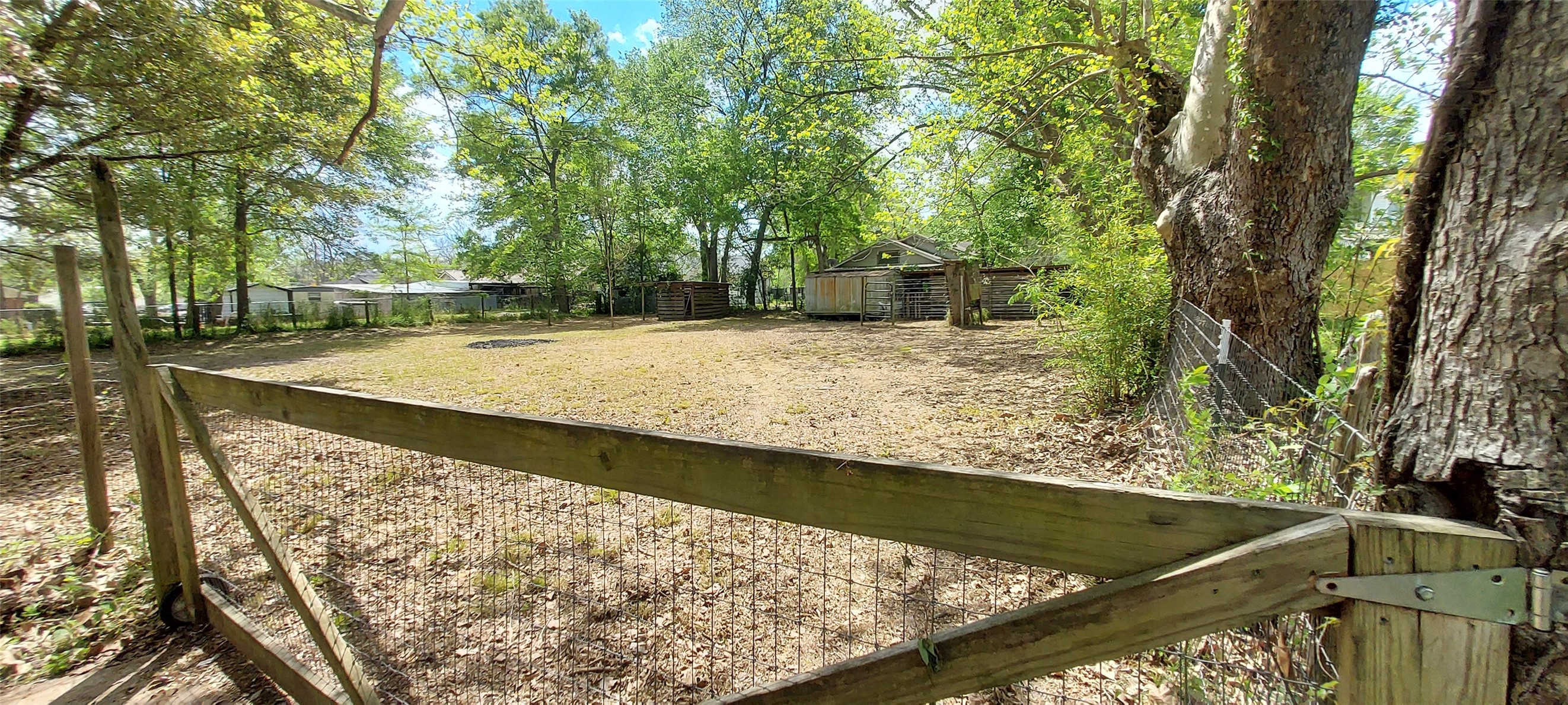 324 East Second Street Groveton, TX 75845 - Photo 14 of 20 a view of a backyard both side of the house