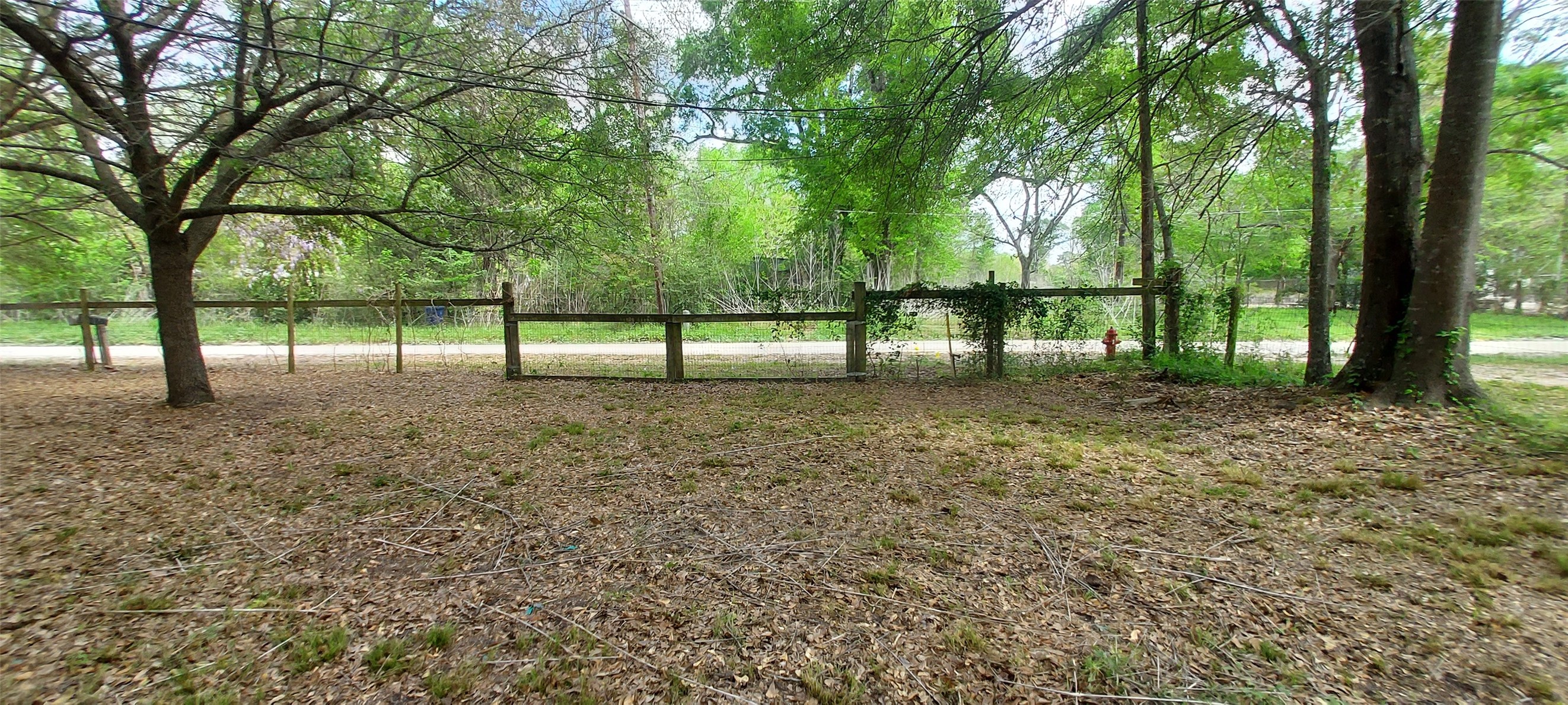 324 East Second Street Groveton, TX 75845 - Photo 7 of 20 a view of yard