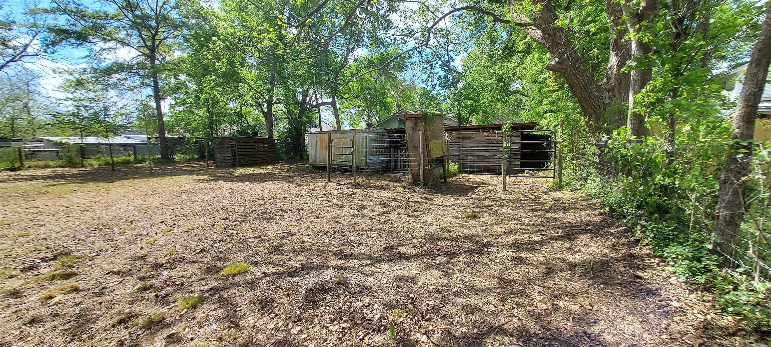 324 East Second Street Groveton, TX 75845 - Photo 9 of 20 a backyard of a house with lots of green space