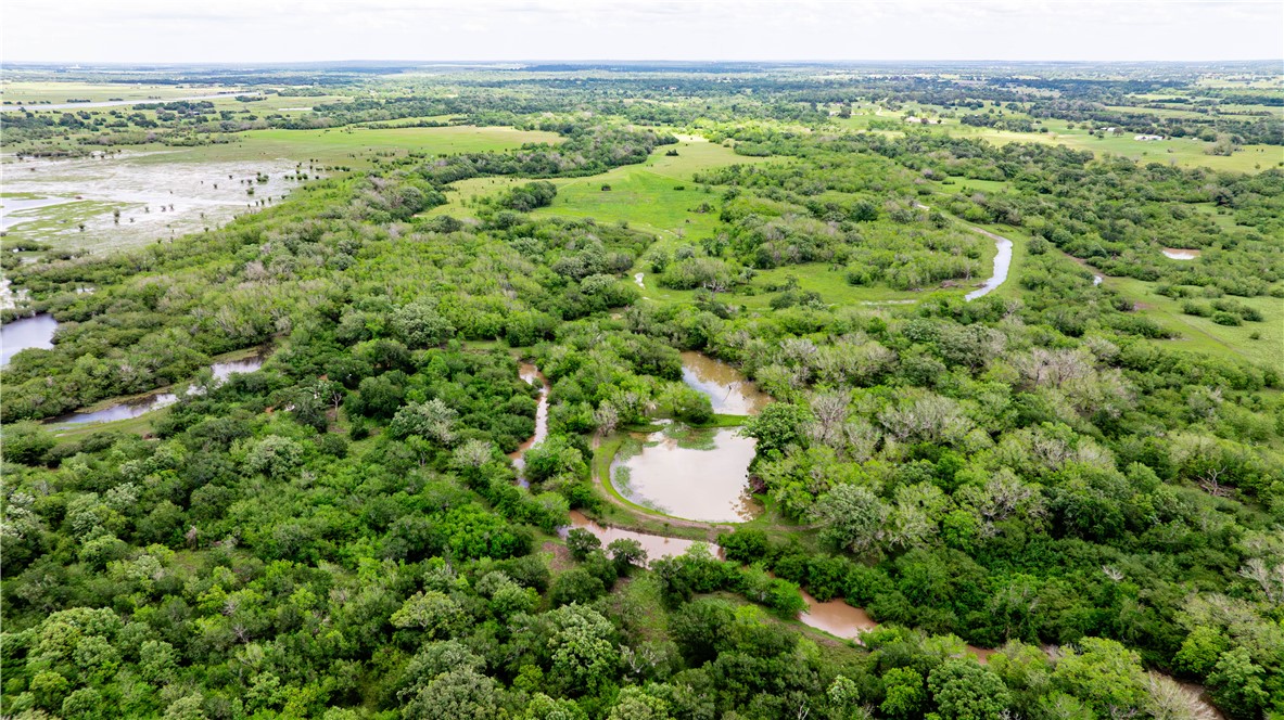 2199 Navasota Ridge Navasota, TX 77868 - Photo 6 of 30
