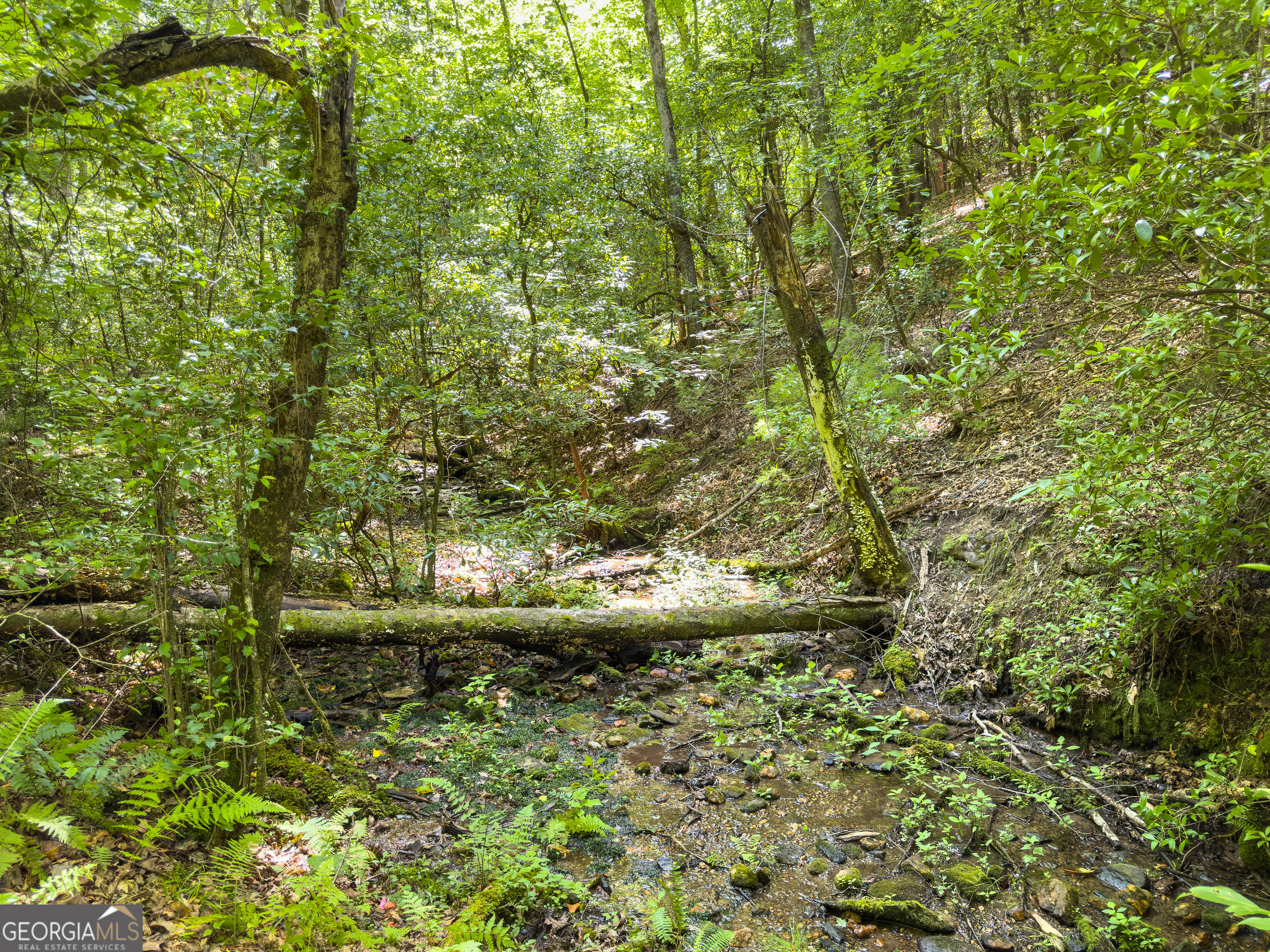 0 White Pine Road McCaysville, GA 30555 - Photo 13 of 32 Gallery Image 13
