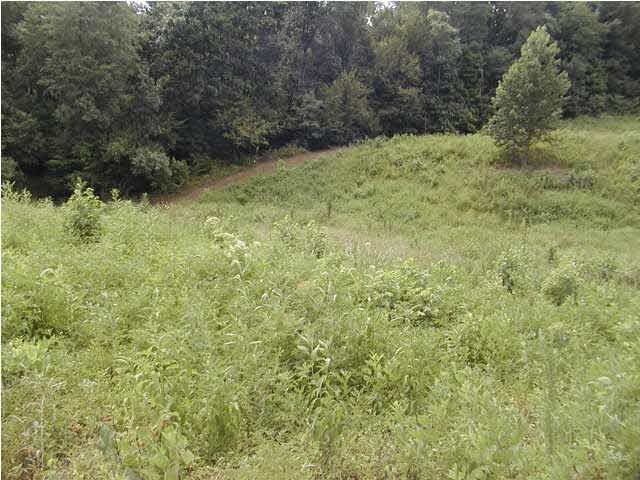 0 Eble Road Boonville, IN 47601 - Photo 1 of 1 Gallery Image 1