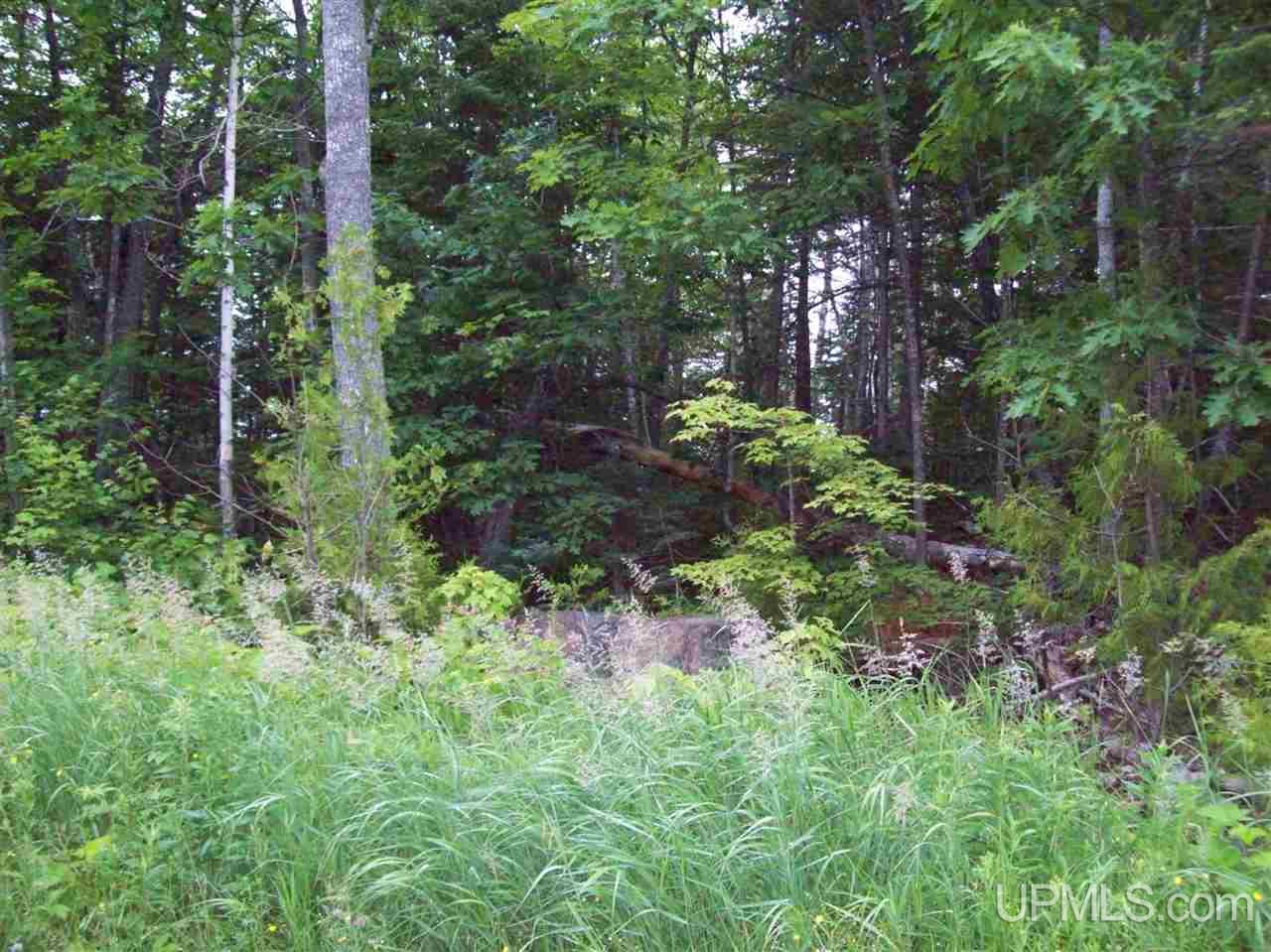 Tbd Tbd Washington Mine Road, Unit LOT 18 Mohawk, MI 49950 - Photo 4 of 9