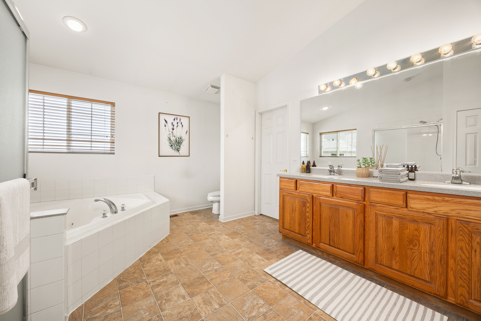 333 Claridge Circle Bolingbrook, IL 60440 - Photo 18 of 33 a spacious bathroom with a tub sink and mirror