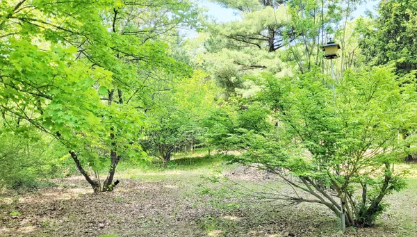 $140,000 | 5350 East Crystal Lake Road, Holton, MI 49425