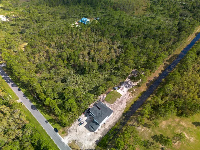 a view of a garden with plants